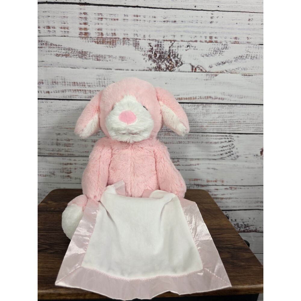 Spin Master Pink Peek A Boo Puppy Dog Animated Talking Stuffed Toy NWT